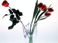 Glass Valentine vase