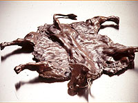 Flat Cow - Bronze