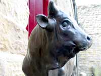 Bull - Bronze Cast