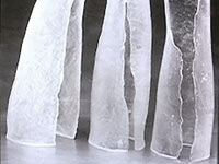 Shell cast glass arms by Gayle Matthias