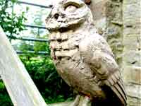 Bronze Owl